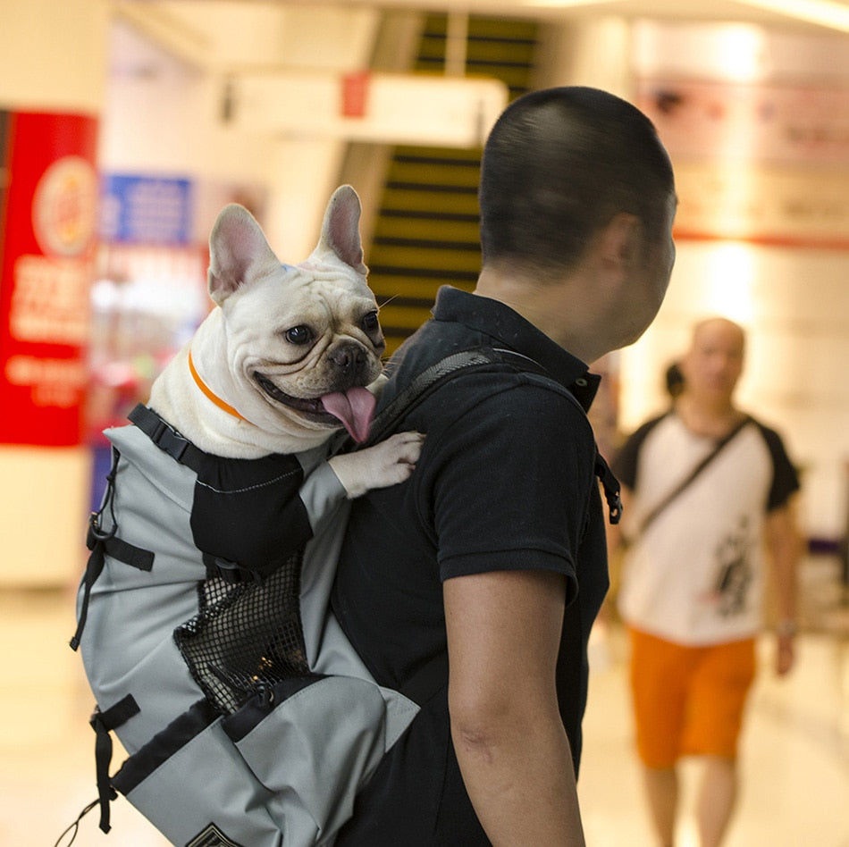 Mochila de Transporte pra Cachorro e Gatos