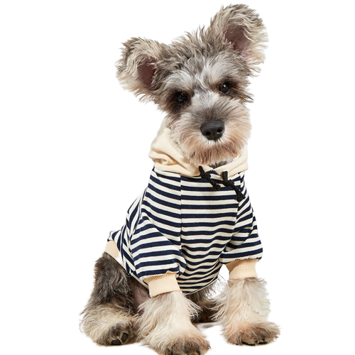 Roupa Pet Moletom Listrado