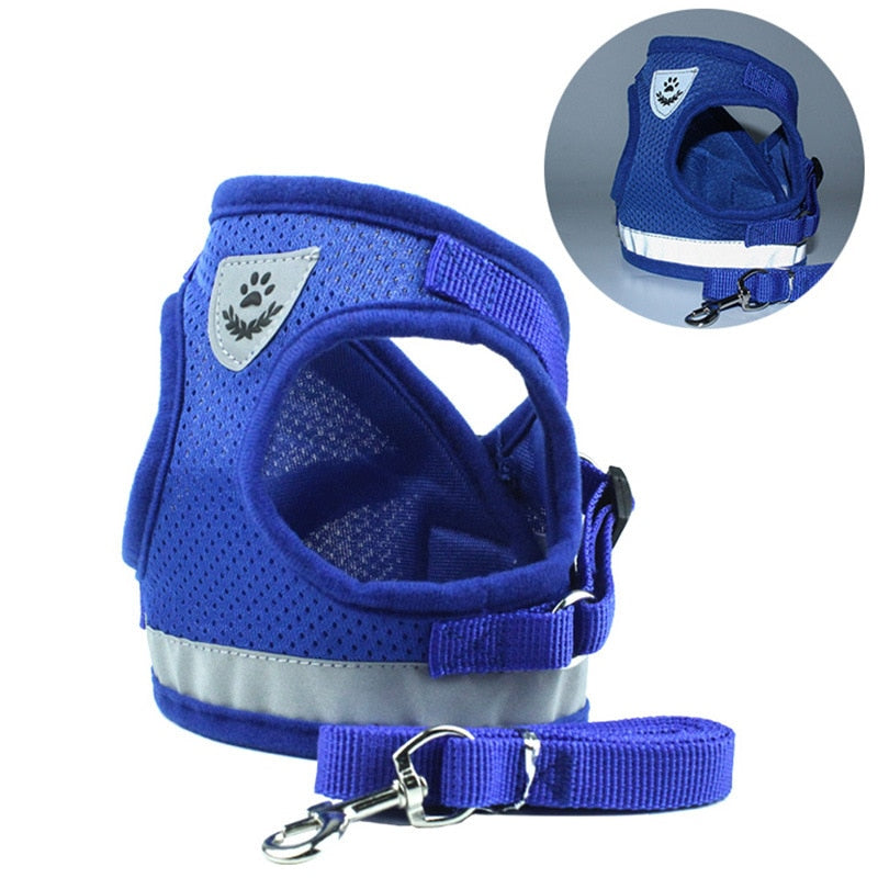 Coleira Peitoral e Guia para Cães e Gatos - Azul | Abelhinhas Pets