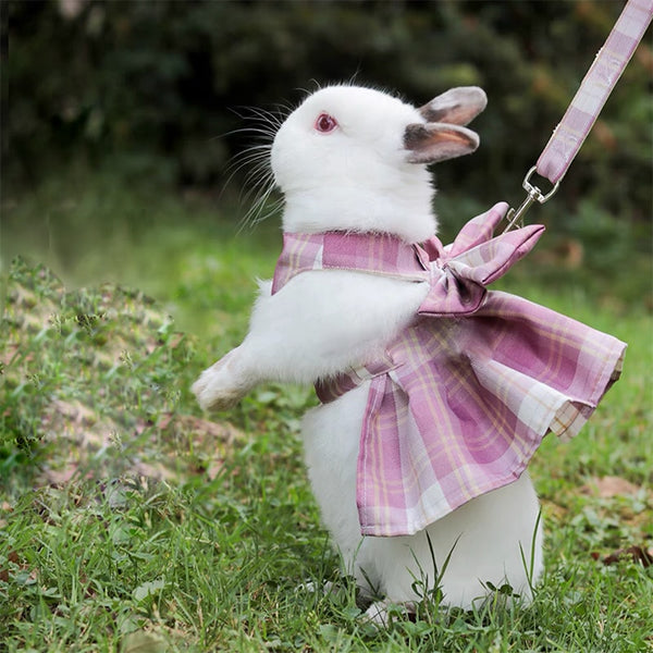 Coleira Peitoral de Vestido pra Coelhos - Acompanha Guia