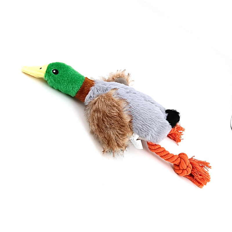 Brinquedo para cachorro pato hope