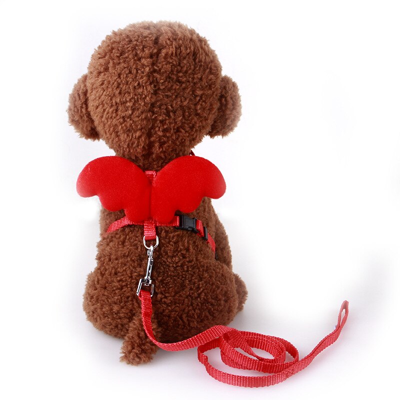 Peitoral Anjinho para Gato e cachorro - Kit com Guia