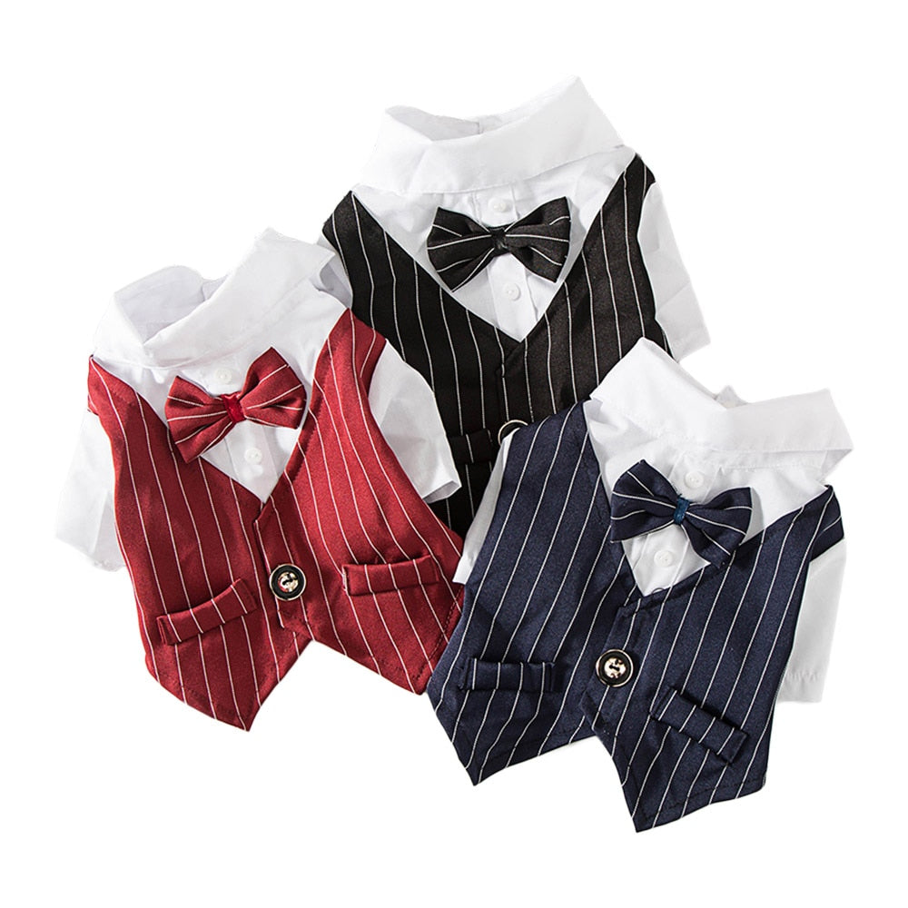 Roupa Pet Camisa Social com colete e gravata