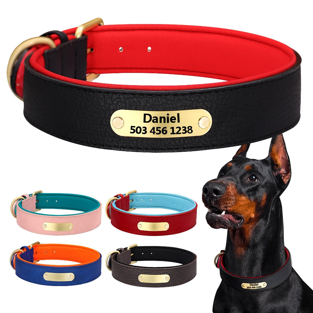 Coleira de Identificação Resistente pra Cães - Personalizada com nome e telefone
