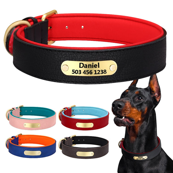 Coleira de Identificação Resistente pra Cães - Personalizada com nome e telefone