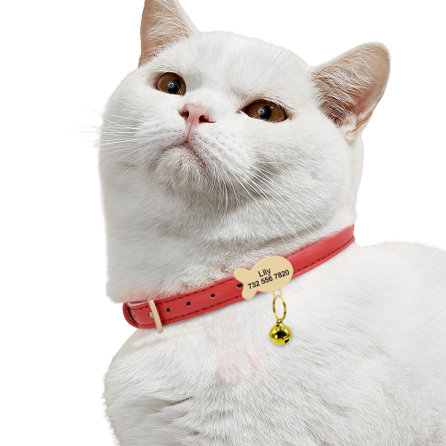 Coleira de Identificação Pingente de Peixe para Cães e Gatos | Abelhinhas Pets
