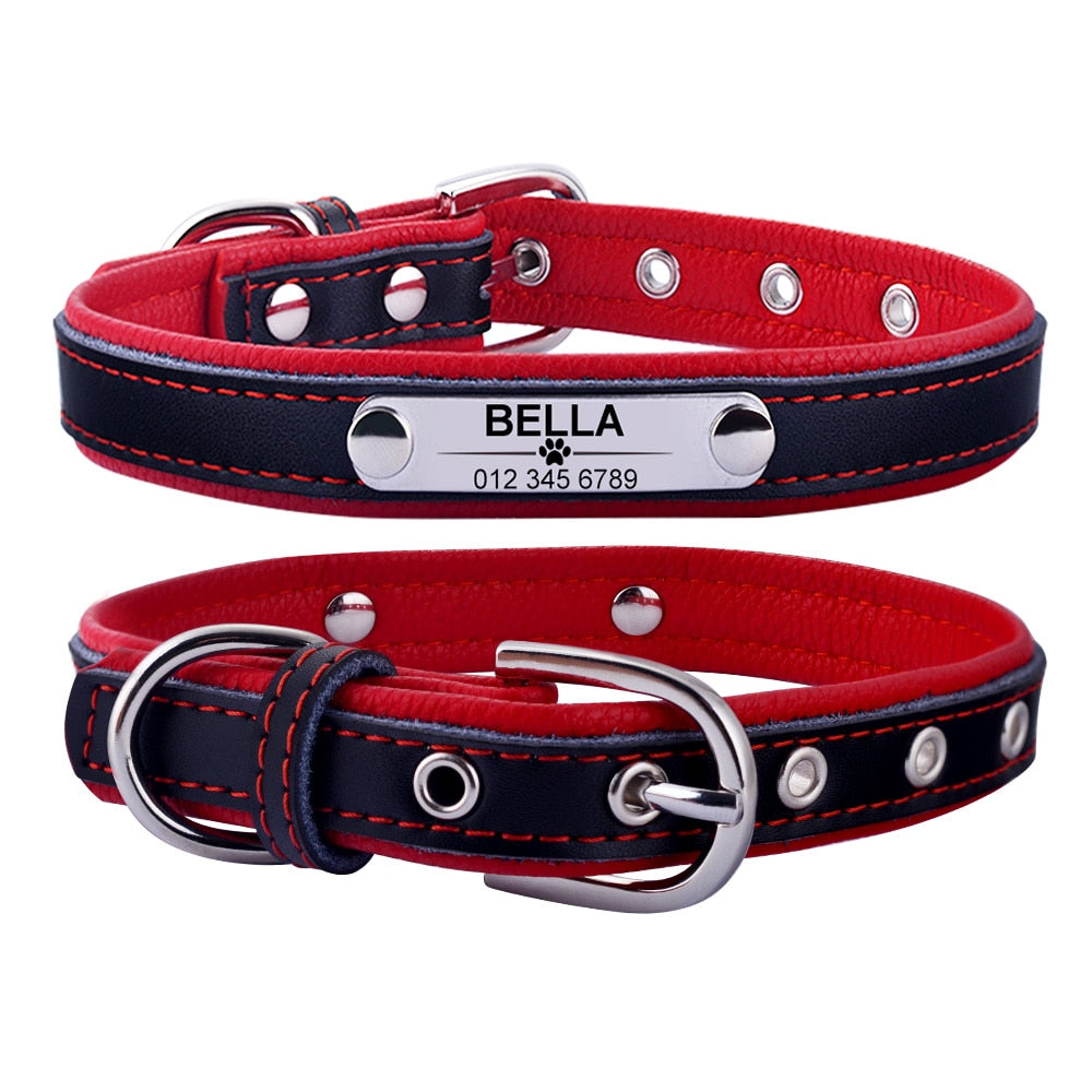 Coleira de Identificação pra Cães e Gatos - Personalizada com nome e telefone