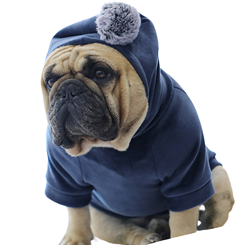 Roupa Pet Moletom Pompom