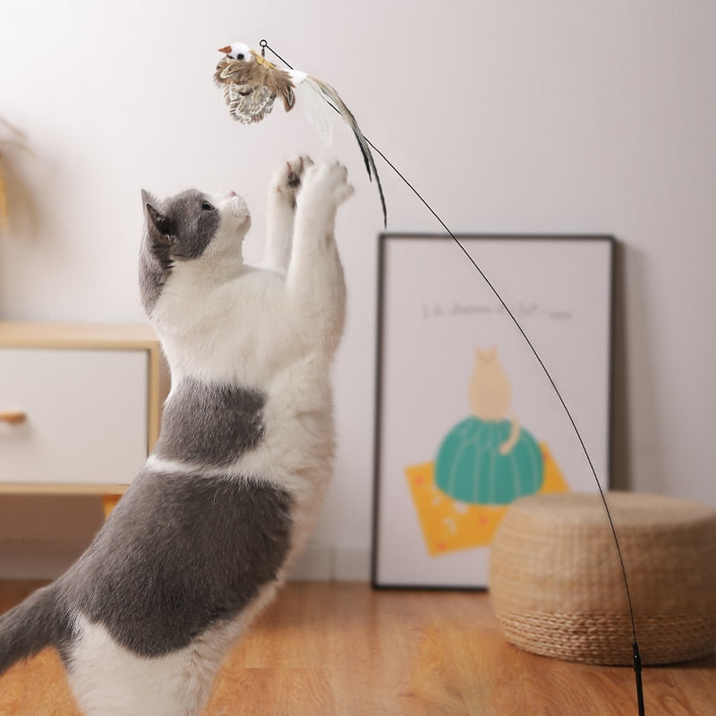 Brinquedo para Gato Simulador Fixo Premium