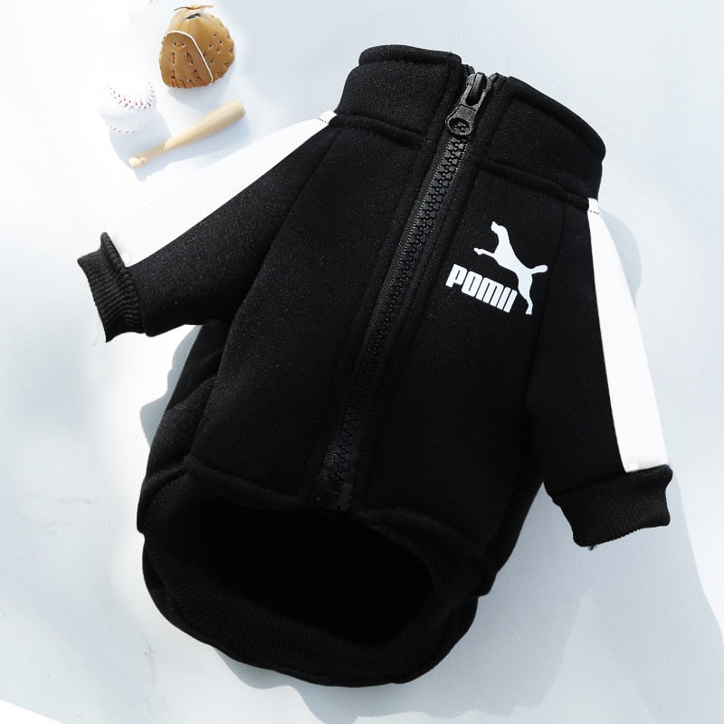 Roupa para Cachorro Jaqueta Pomii