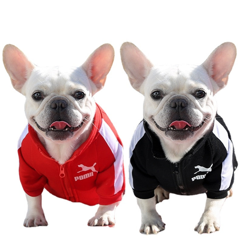 Roupa para Cachorro Jaqueta Pomii