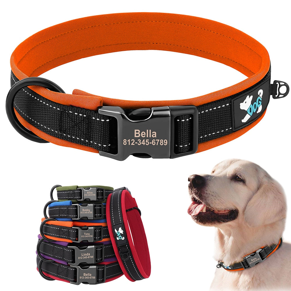 Coleira Personalizada para Cães e Gatos com Faixa Refletiva | Coleira de Identificação