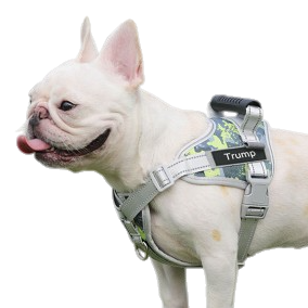 Peitoral Para Cachorros Ajustável com Nome Personalizável