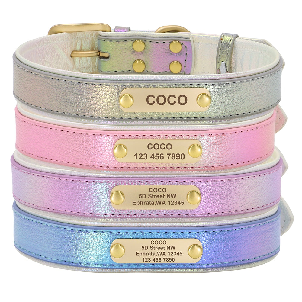 coleira personalizada