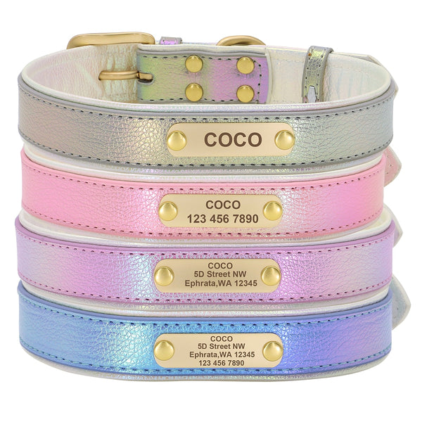 coleira personalizada