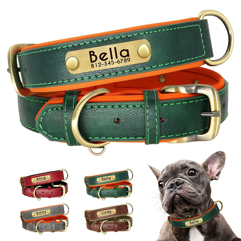Coleira Personalizada de Identificação para Cães e Gatos de Couro