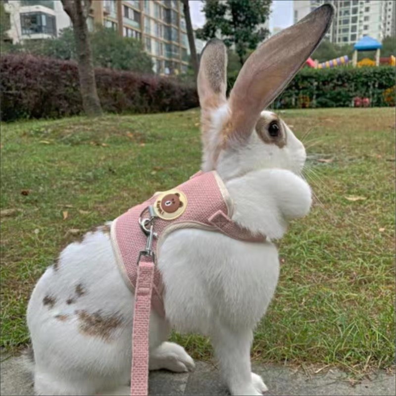 Coleira Peitoral para Coelhos acompanha Guia