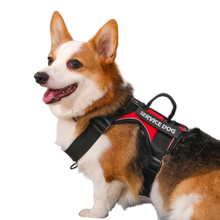 Peitoral pra Cachorro Forte e Resistente