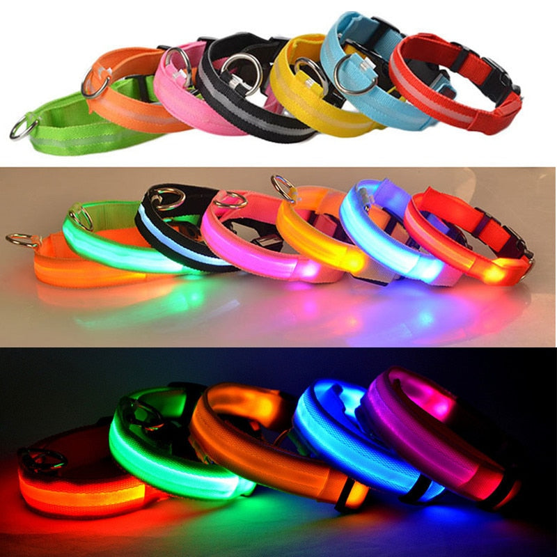 Brinde Coleira Pet de LED para cães e gatos