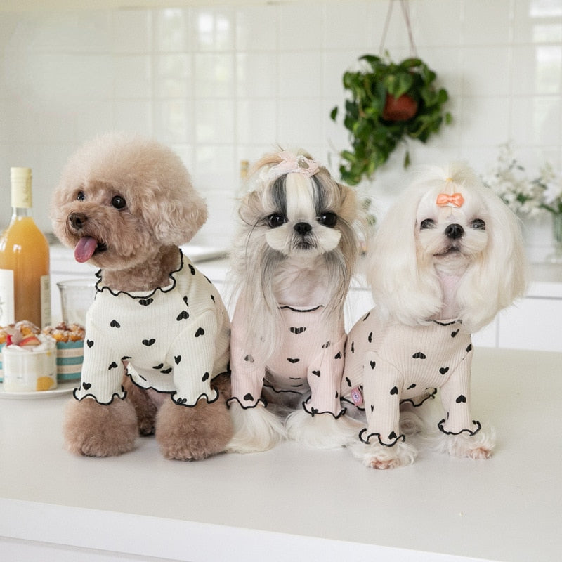 Blusa de Inverno para Cães e Gatos de coração - Roupa pet