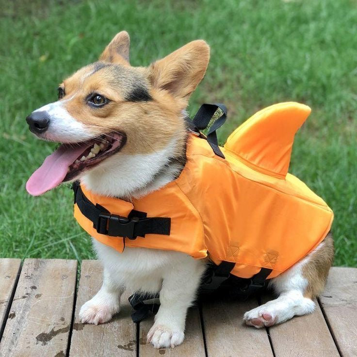 Colete Salva-Vidas Pet Tubarão para Cachorro