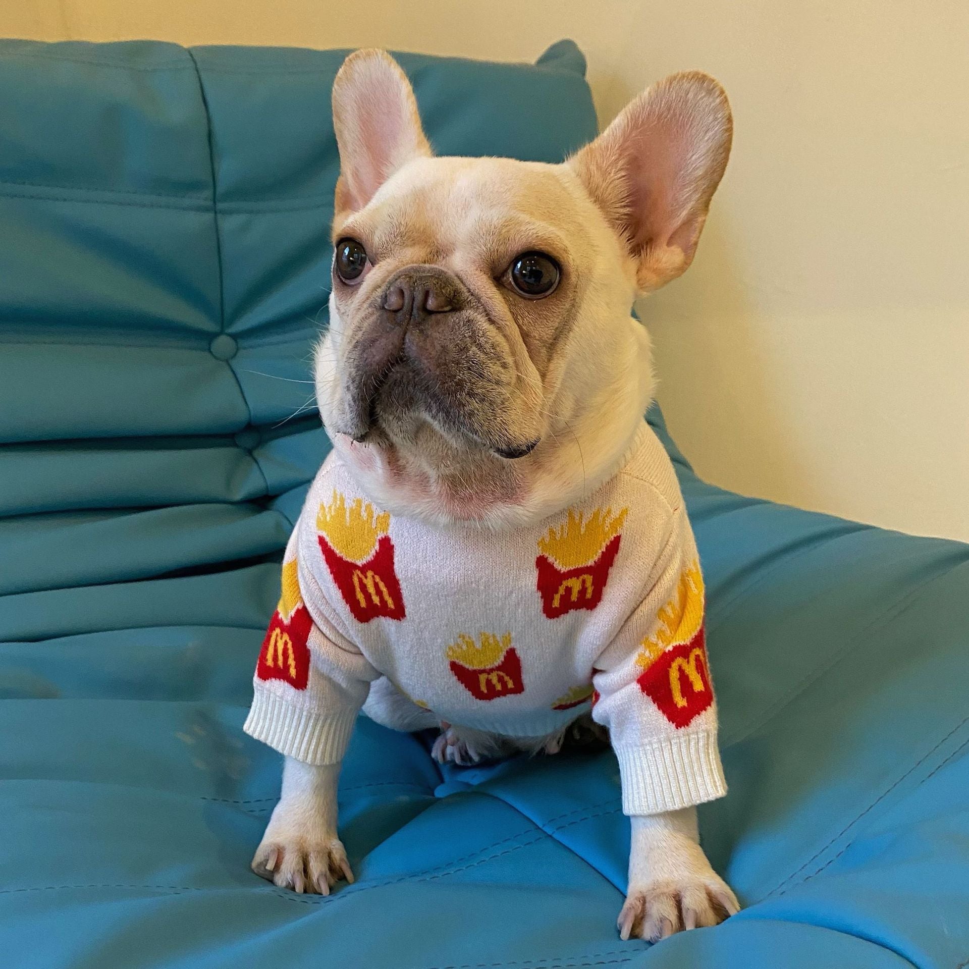 Roupinha de Batatas Fritas para Cachorro Pequeno – Casaco Quentinho de Algodão